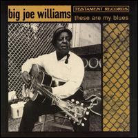 These Are My Blues von Big Joe Williams