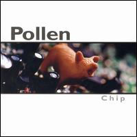 Chip von Pollen