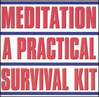 Meditation: Practical Survival Kit von Allen Holmquist