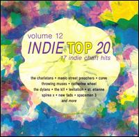 Indie Top 20, Vol. 12 von Various Artists