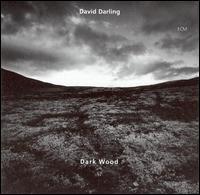 Dark Wood von David Darling