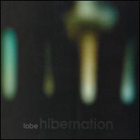 Hibernation von Lobe