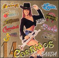 14 Corridos con Banda, Vol. 1 von Various Artists