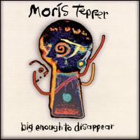 Big Enough to Disappear von Moris Tepper