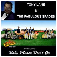 Baby Please Don't Go von Tony Lane