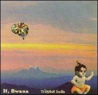 If, Bwana: Tripping India von If, Bwana