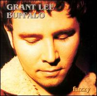 Fuzzy von Grant Lee Buffalo