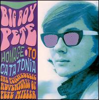 Homage to Catatonia: The Psychedelic Adventures of Pete Miller von Big Boy Pete