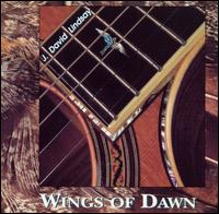 Wings of Dawn von J. David Lindsay