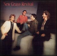 Hold to a Dream von New Grass Revival