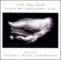 Just Your Fool von Carlos del Junco Band