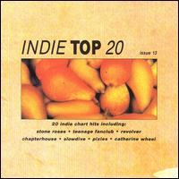 Indie Top 20, Vol. 13 von Various Artists