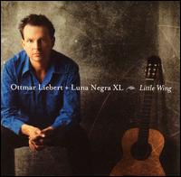 Little Wing von Ottmar Liebert