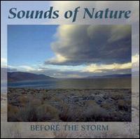 Before the Storm von Virtual Audio Environments