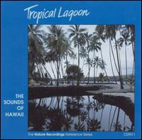 Tropical Lagoon von Richard Hooper