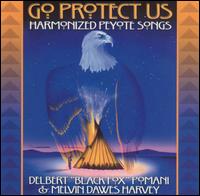 Go Protect Us von Delbert Black Fox Pomani