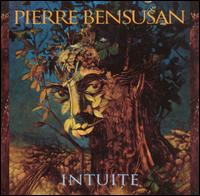 Intuite von Pierre Bensusan