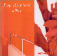 Pop Ambient 2001 von Various Artists