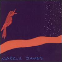 Nightbird von Markus James