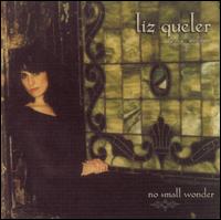 No Small Wonder von Liz Queler