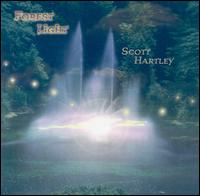 Forest Light von Scott Hartley