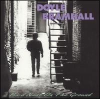 Bird Nest on the Ground von Doyle Bramhall