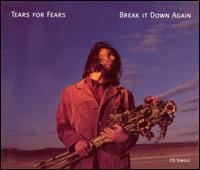 Break it Down Again von Tears for Fears