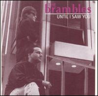 Until I Saw You von Brambles