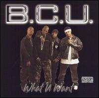 What U Want von Bcu & Town