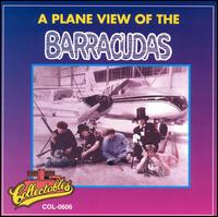 Plane View of the Barracudas von The Barracudas