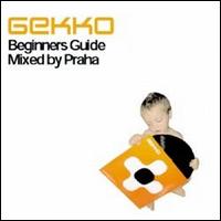 Gekko: Beginner's Guide von Jachri Praha