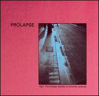 Pointless Walks to Dismal Places von Prolapse