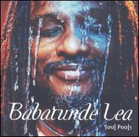 Soul Pools von Babatunde Lea