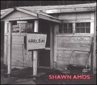 Harlem von Shawn Amos