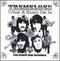 What a State I'm In: The Psych Pop Sessions von The Tremeloes