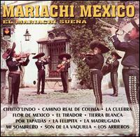 Mariachi Suena Bien von Mariachi Mexico