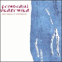 Thin Shells of Revolution von Primordial Undermind