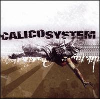 Duplicated Memory von Calico System