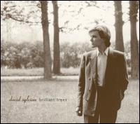 Brilliant Trees von David Sylvian