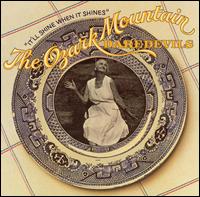 It'll Shine When It Shines von Ozark Mountain Daredevils