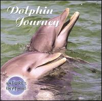 Nature's Rhythms: Dolphin Journey von Nature's Rhythms