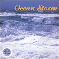 Nature's Rhythms: Ocean Storm von Nature's Rhythms