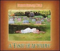 Taste of Afterlife von Voodoo Monkey Child