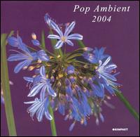 Pop Ambient 2004 von Various Artists