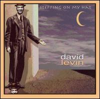 Stepping on My Hat von David Levin