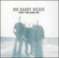 What I Was Made For [11 Tracks] von Big Daddy Weave