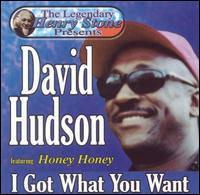 I Got What You Want von Dave Hudson