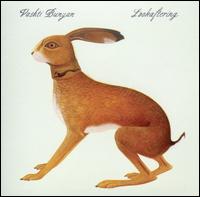 Lookaftering von Vashti Bunyan