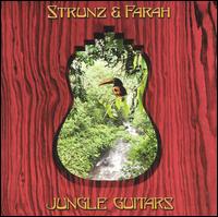 Jungle Guitars von Strunz & Farah