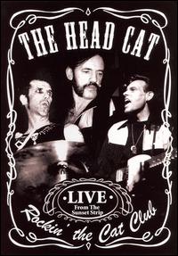 Rockin the Cat Club: Live from the Sunset Strip [DVD] von The Head Cat